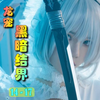 龙宠14——黑暗结界